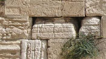 western-wall-cracks