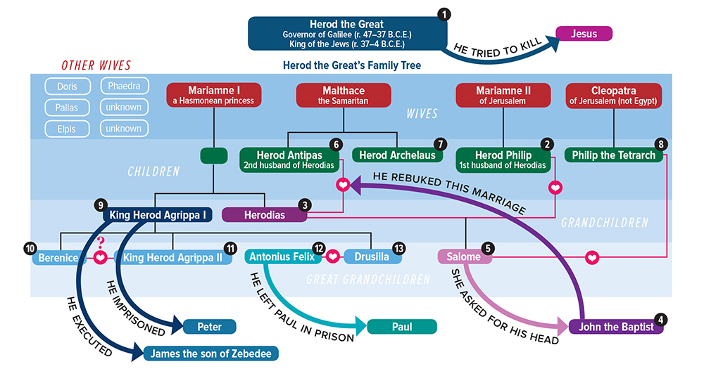 Moses Family Tree Chart