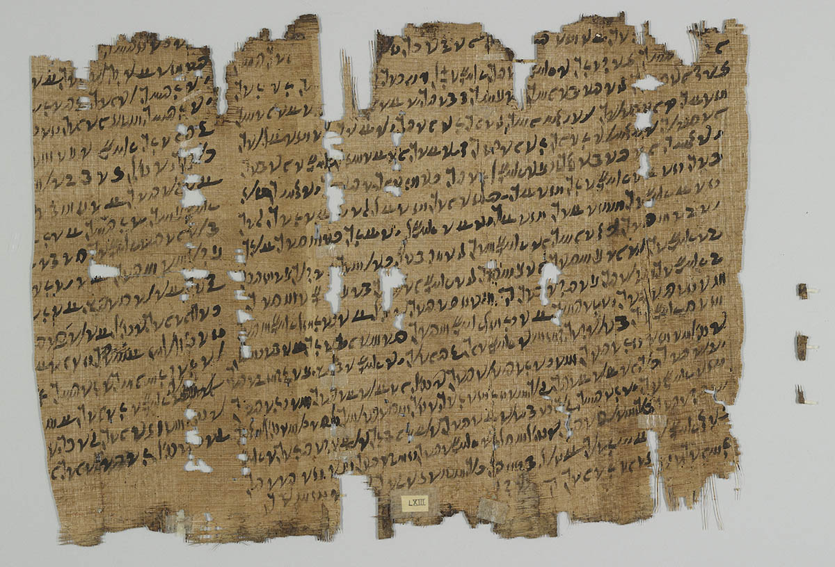 papyrus definition and pronunciation papyrus definition and pronunciation