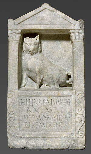 Dog on Roman gravestone at time of the Bible