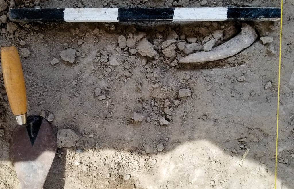 Archaeology Tools from Trowels to Tech Biblical Archaeology Society