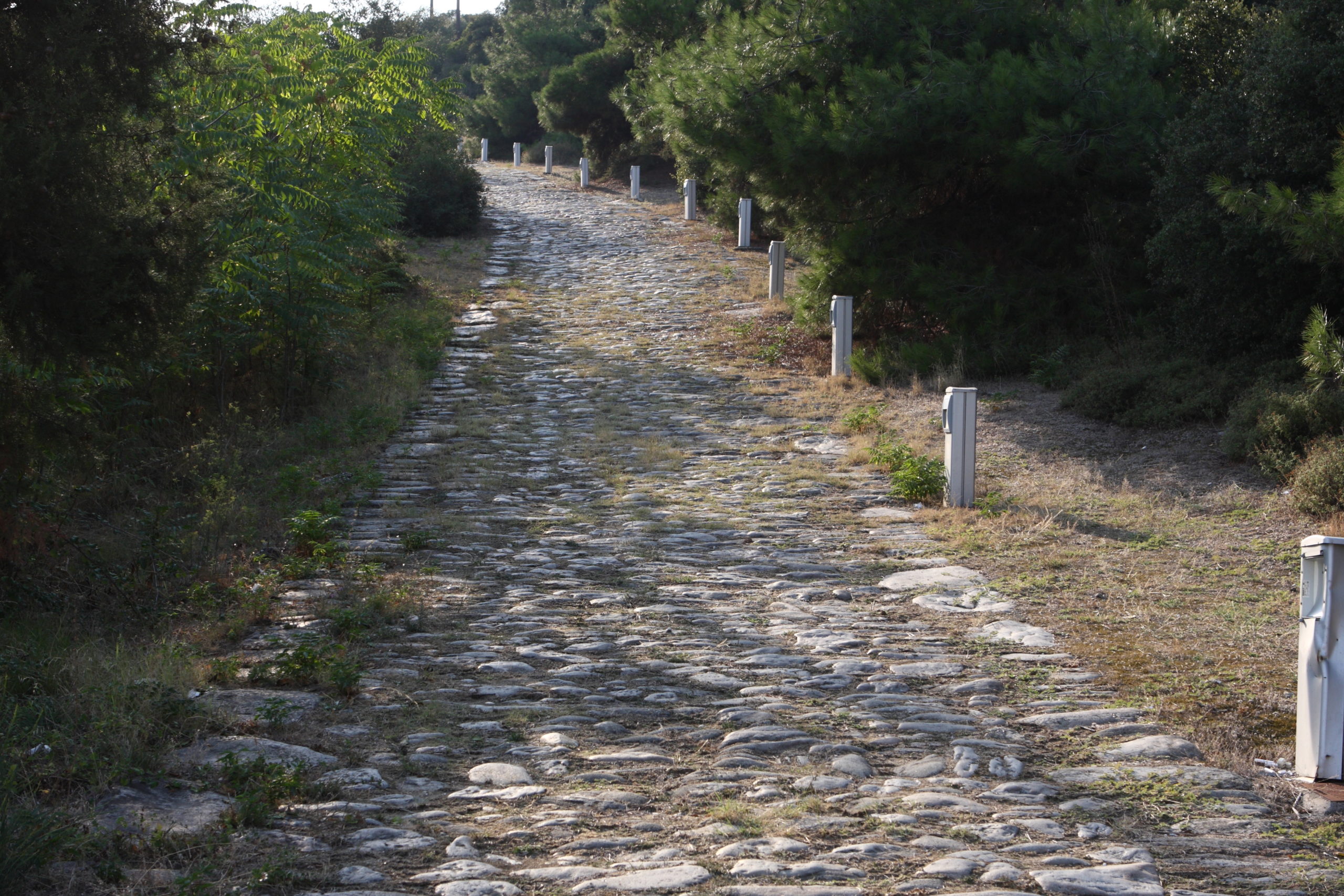A stone path Remains of the Via Egnatia at Neapolis (modern Kavala) near Philippi