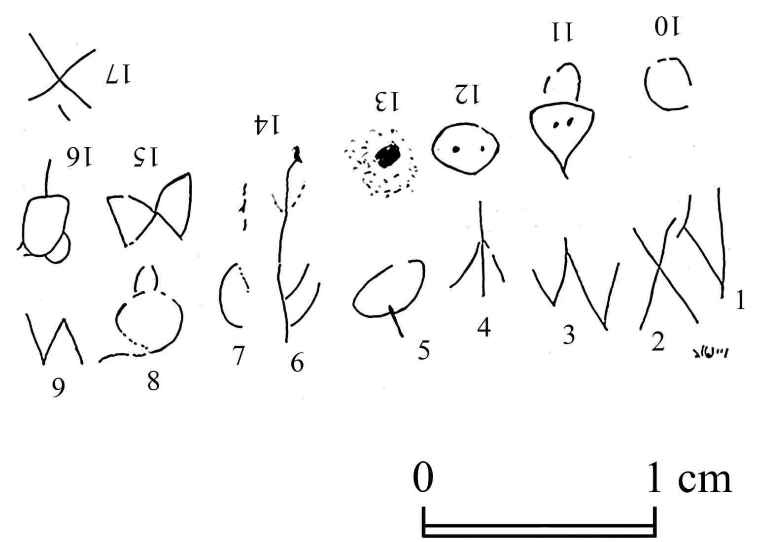 Oldest Canaanite Sentence Found
