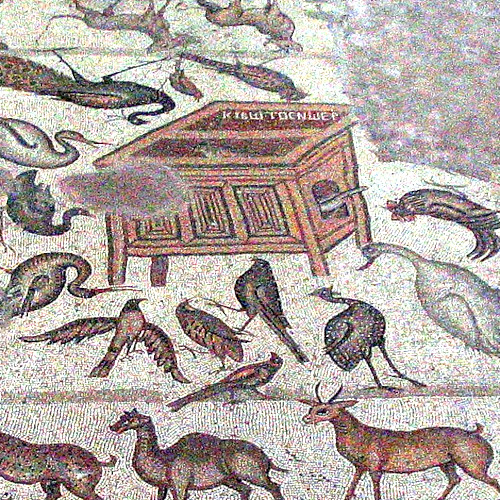 How did Noah make the box? How did Noah make the box?