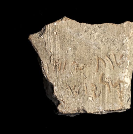 Darius the Great visual data 5