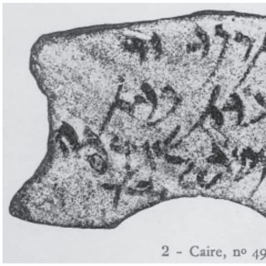 Elephantine Archives Biblical Archaeology Society