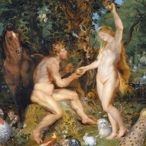 Should we literally take the stories of creation?