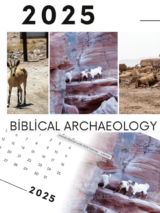 Cover of 2025 Calendar featuring pictures of different animals taken in Israel