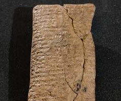 Photo of ark tablet