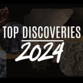 Top Discoveries 2024