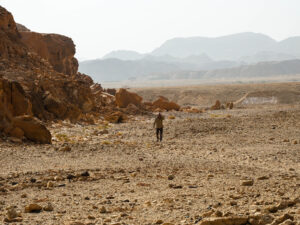 Valley Arava