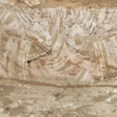 wall painting with red and black colors on beige wall of two deer heads facing each other with a circular element underneath and plans around. Very faded. Courtesy the Egyptian Ministry of Tourism and Antiquities.