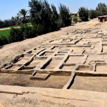residential complex unearthed, revealing a series of adjoining rectangles and squares for old rooms and spaces. Trees in background. Courtesy Egyptian Ministry of Tourism and Antiquities